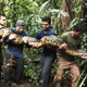 Image for article titled Seriously, Fuck Discovery And Its 'Eaten Alive' By An Anaconda Show